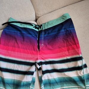 Men's Multicolor Swim Shorts